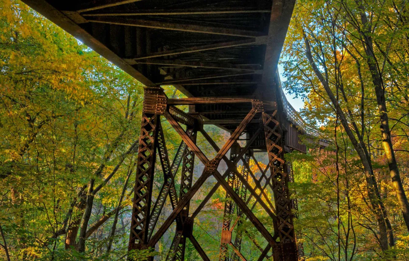 Фото обои осень, лес, листья, деревья, мост, США, штат Нью-Йорк, Розндейл