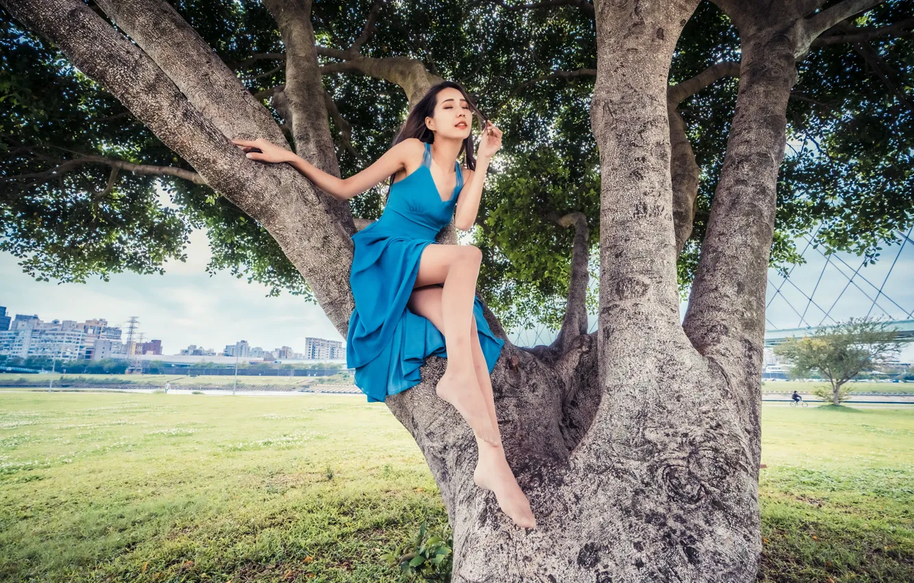 Фото обои дерево, платье, азиатка