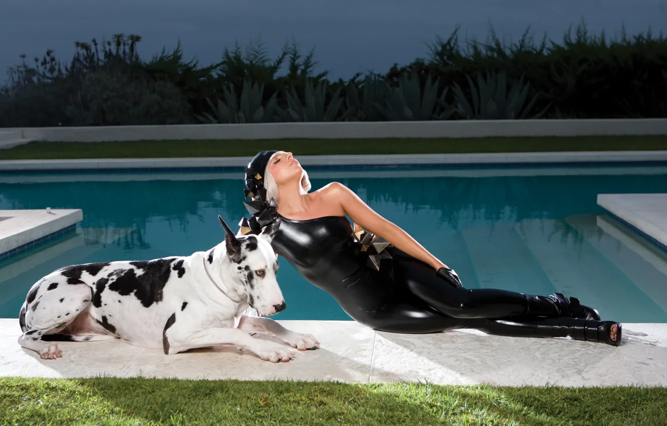 Фото обои девушка, music, актриса, певица, pool, fashion, знаменитость, dog