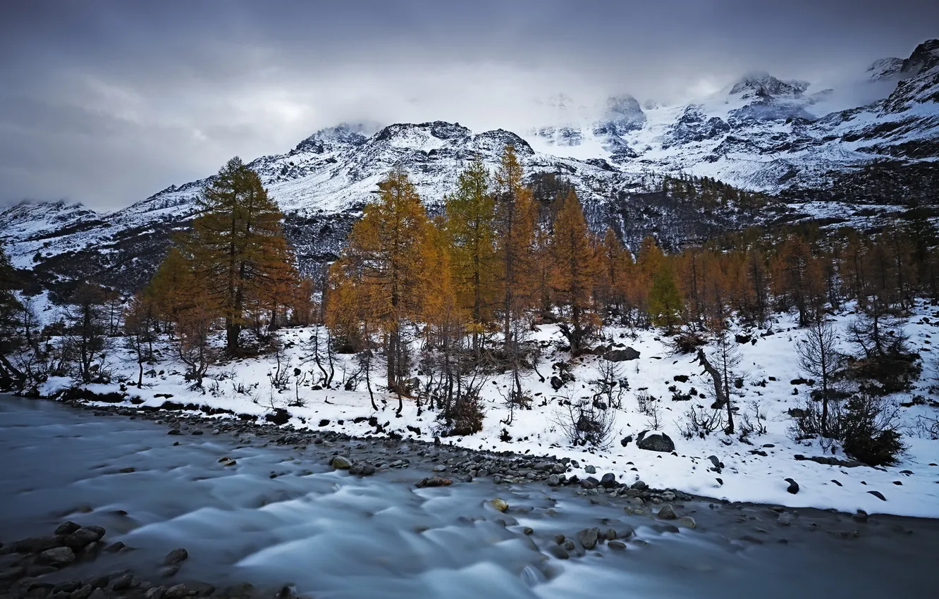 Фото обои осень, снег, река