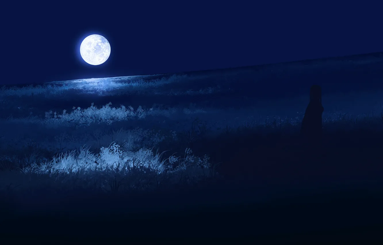 Фото обои трава, ночь, луна, девочка
