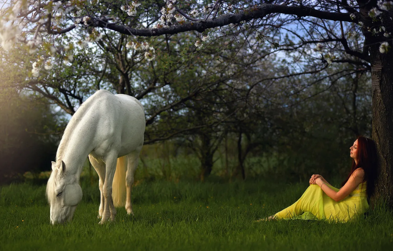 Фото обои девушка, конь, сад