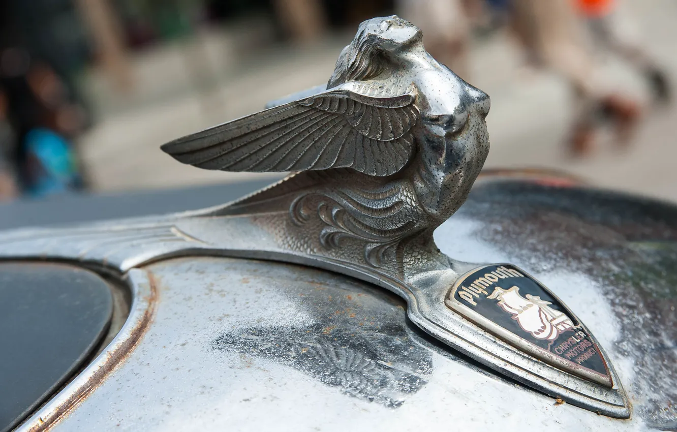 Фото обои макро, знак, эмблема, Plymouth