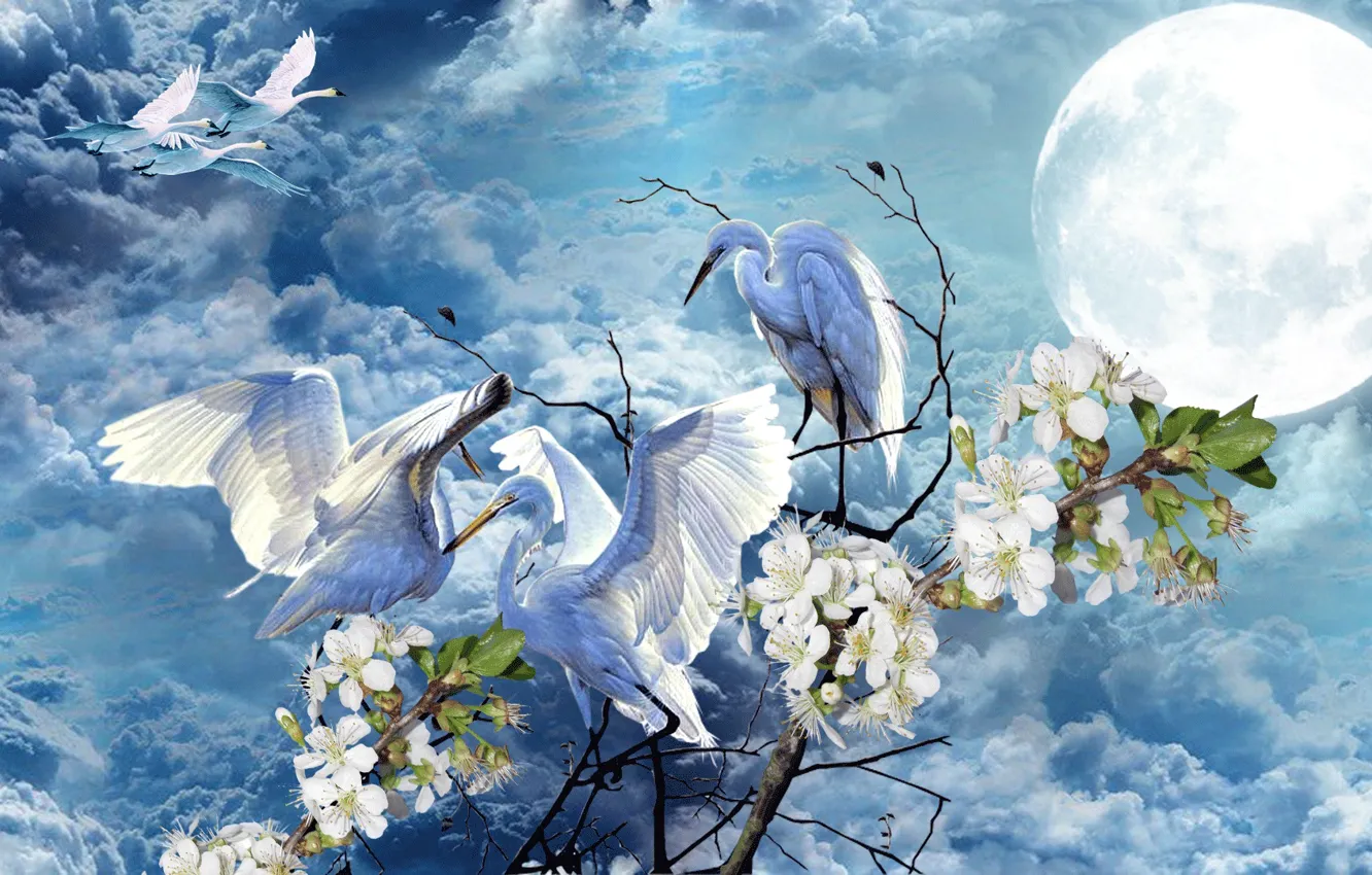 Фото обои небо, цветы, луна, Весна, лебеди, аисты