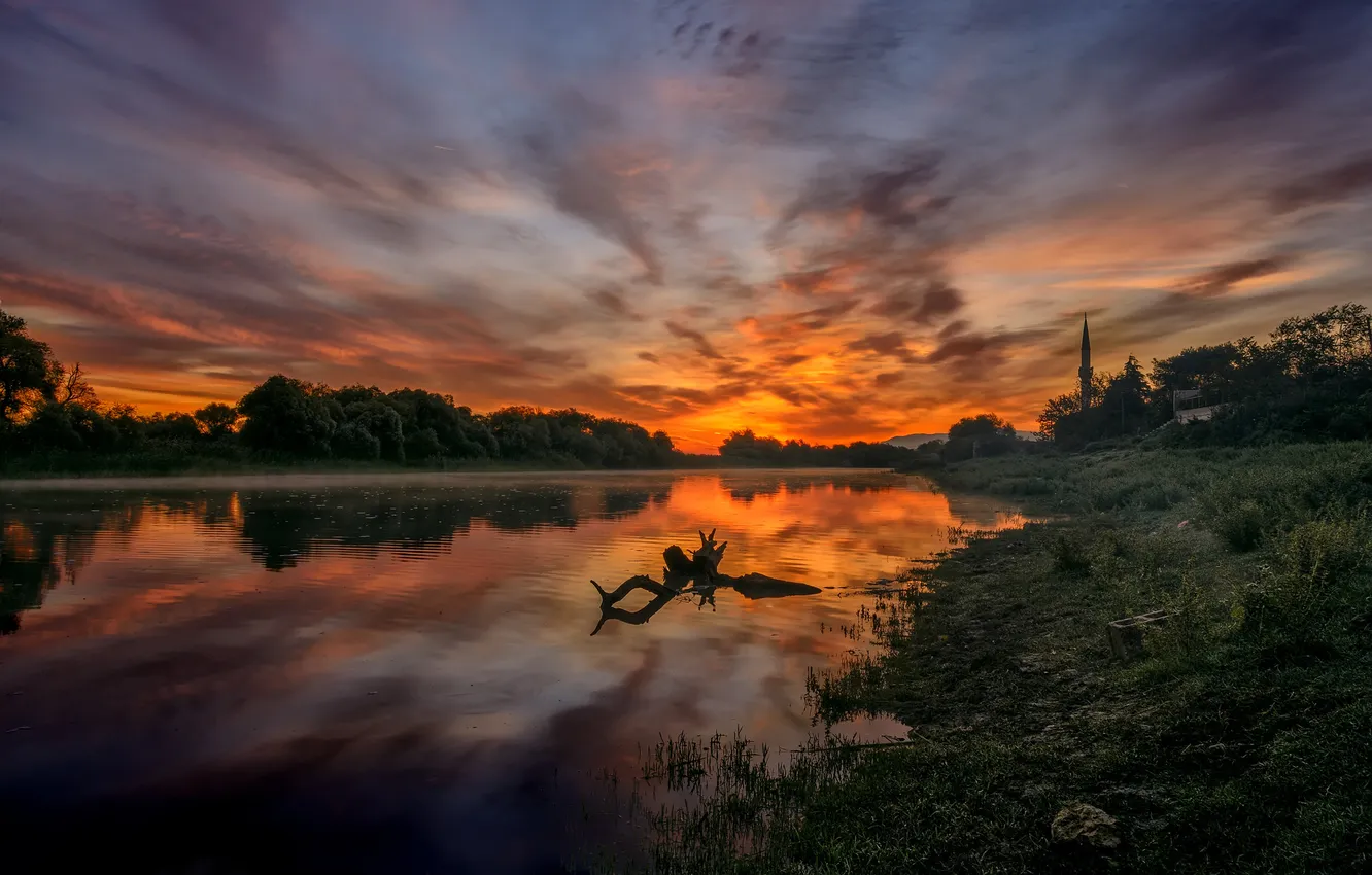Фото обои лес, закат, коряга, водоем