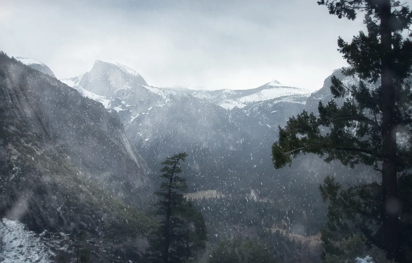 Фото обои лес, снег, горы, Winter