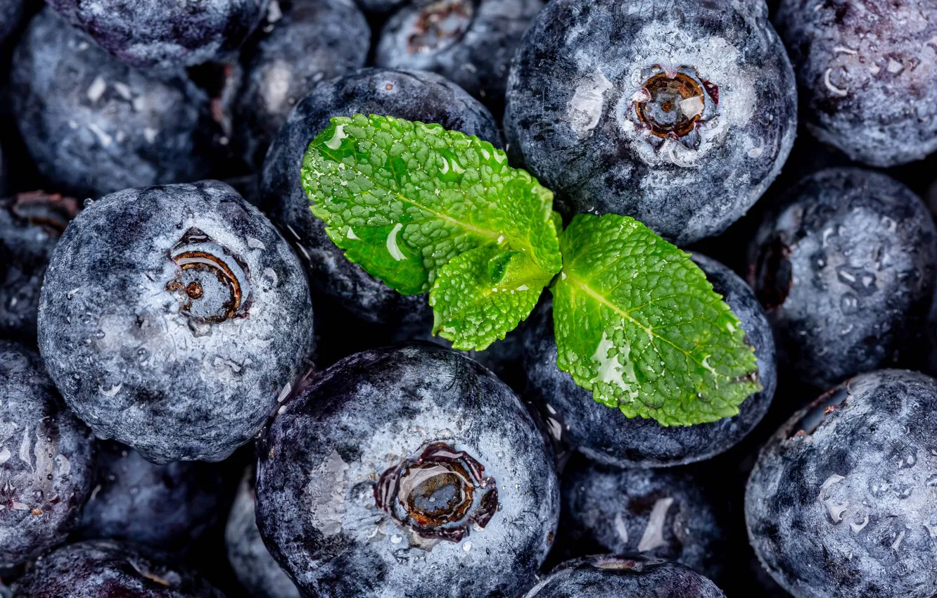 Фото обои черника, leafs, drops, blueberry, berries