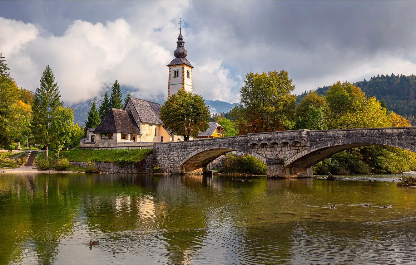 Фото обои деревья, мост, озеро, утки, церковь, Словения, Slovenia, Lake Bohinj