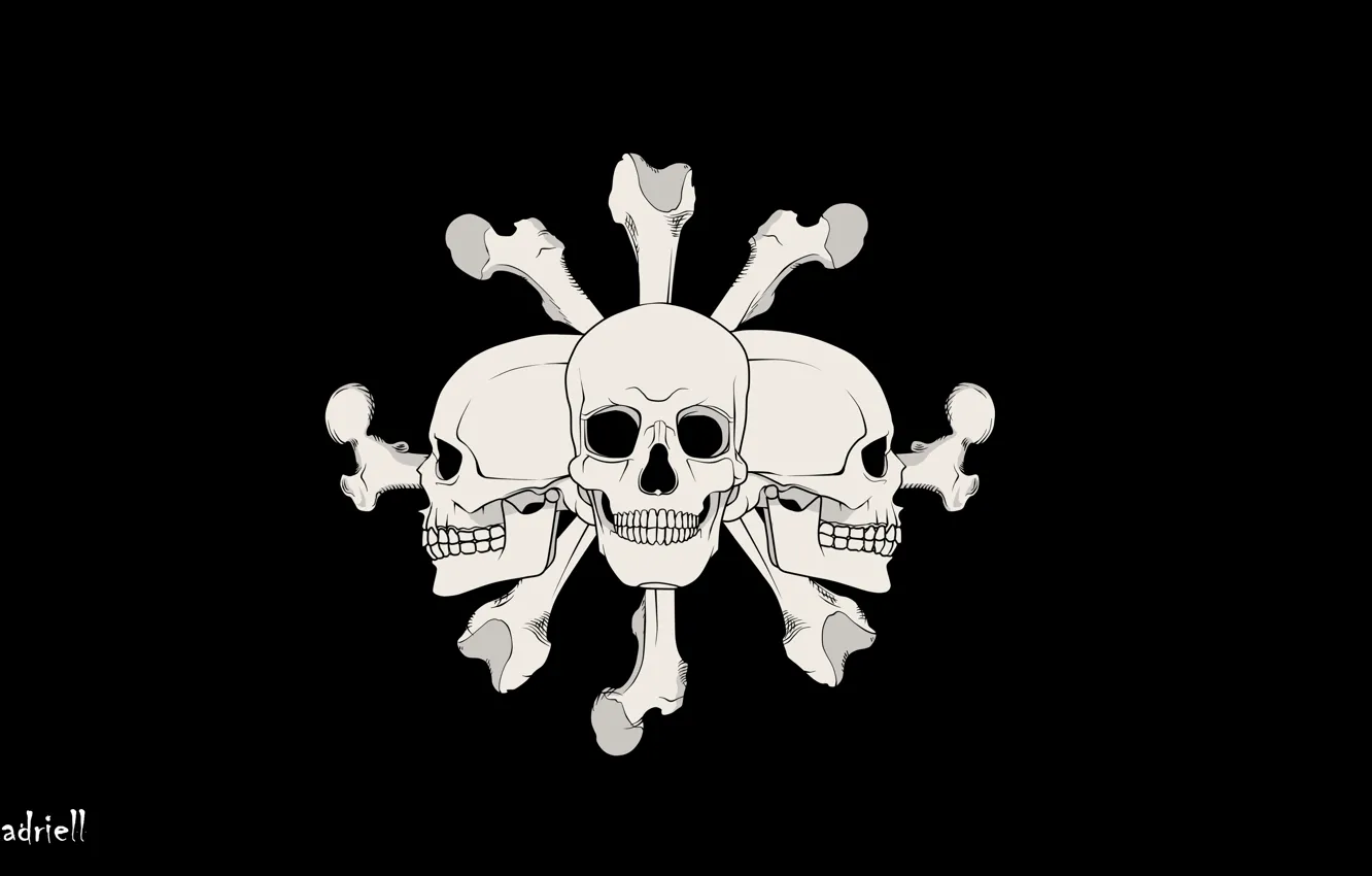 Фото обои кости, черепа, One Piece, чёрный фон