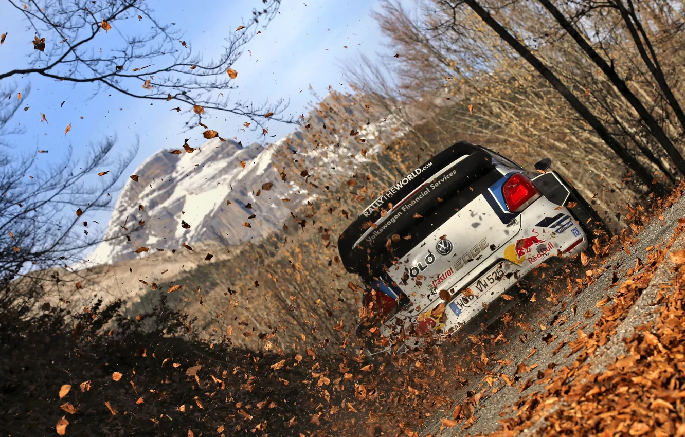 Фото обои Листья, Volkswagen, WRC, Rally, Ралли, Polo, Задок