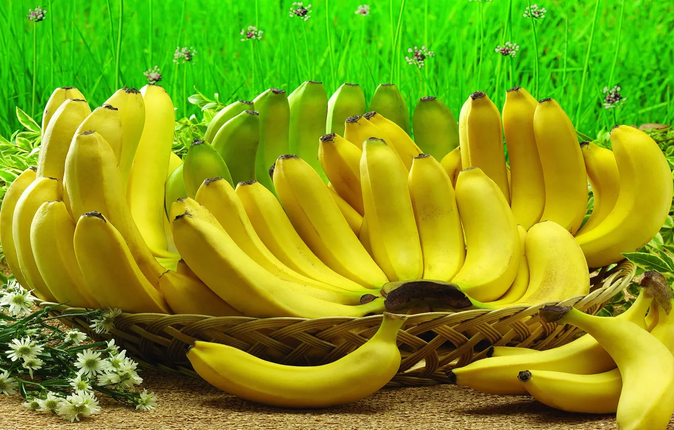 Фото обои ягоды, плоды, бананы