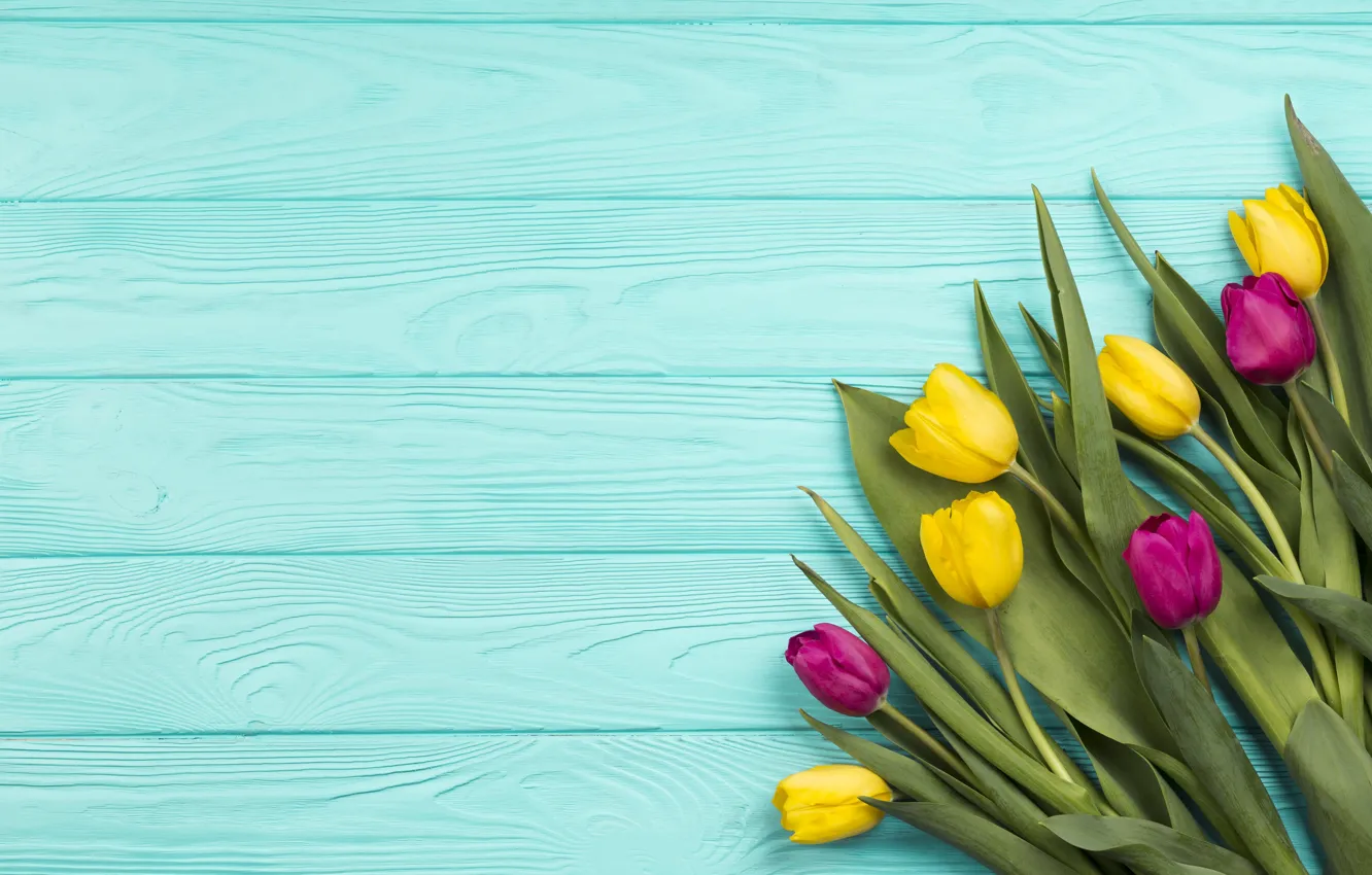 Фото обои цветы, тюльпаны, yellow, wood, flowers, tulips, spring, purple