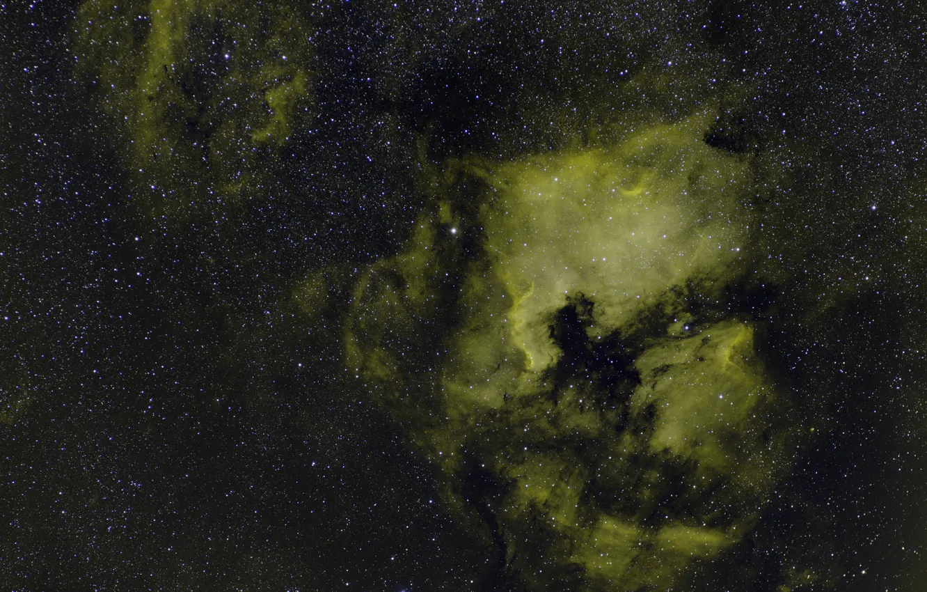 Фото обои космос, звезды, Лебедь, в созвездии, NGC 7000, Туманность Северная Америка