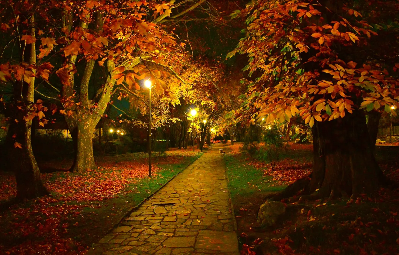 Фото обои Ночь, Осень, Деревья, Фонари, Парк, Fall, Листва, Дорожка