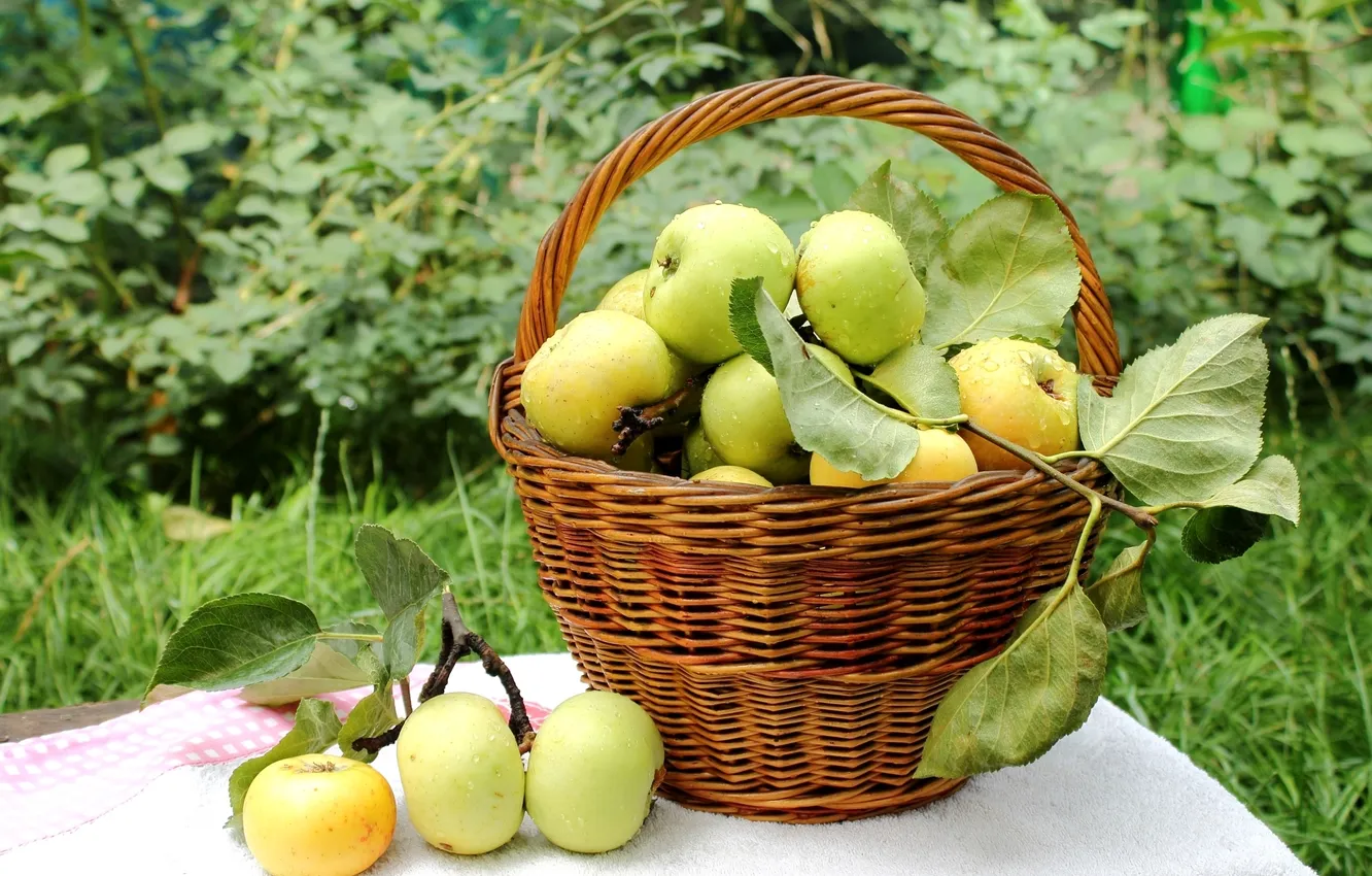 Фото обои капли, корзина, яблоки, урожай, фрукты