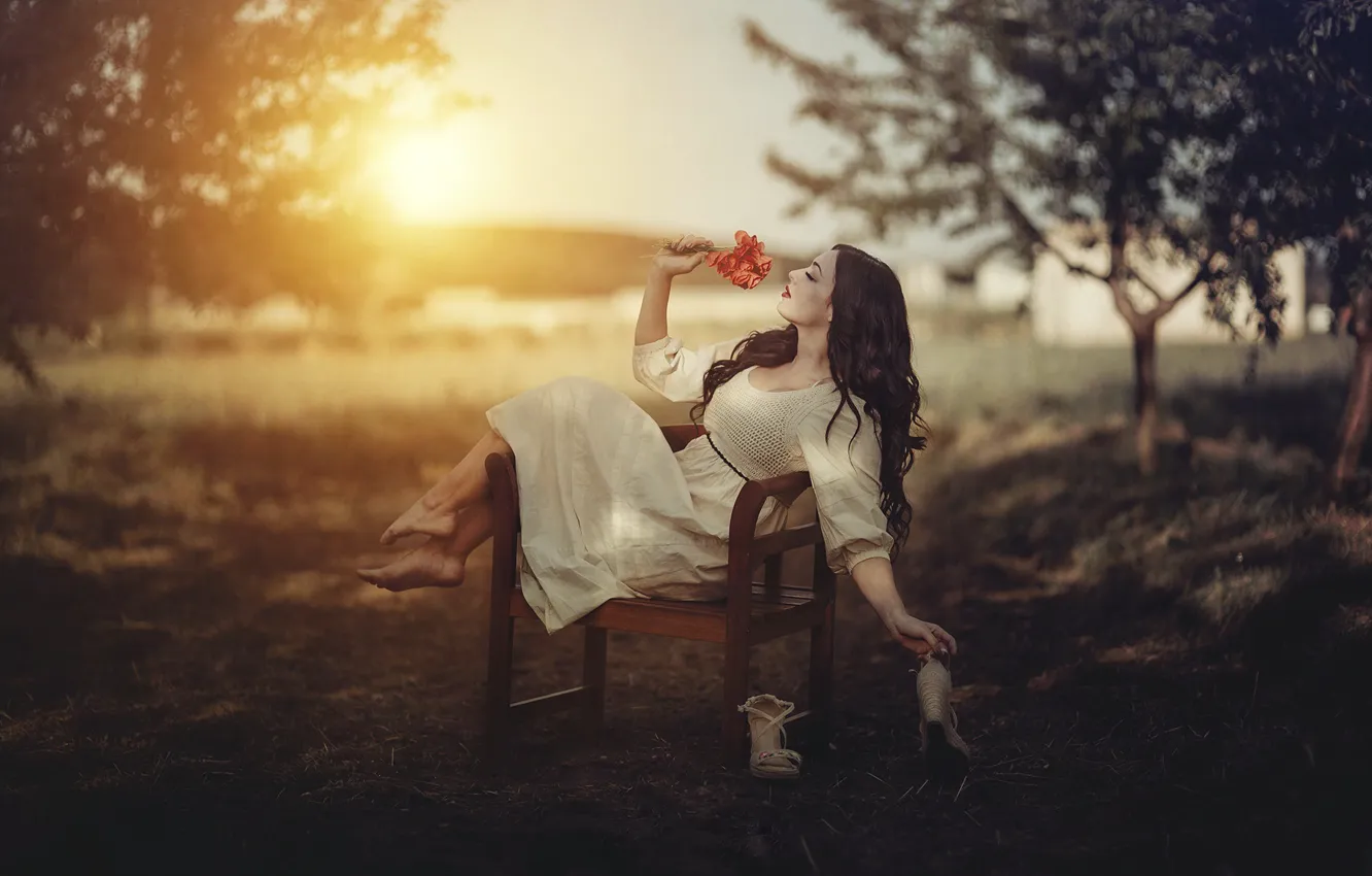 Фото обои девушка, цветы, стул