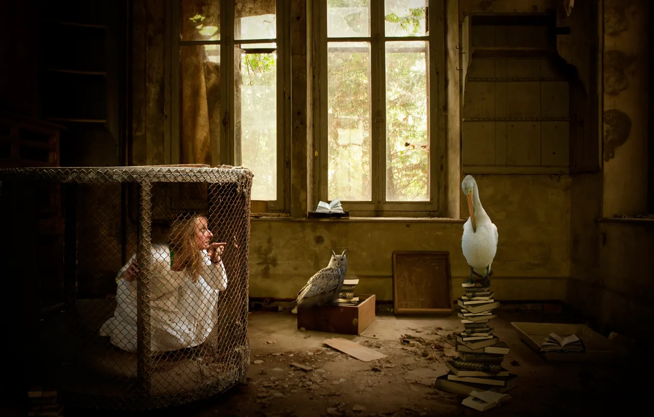 Фото обои девушка, птицы, фантазия, комната, клетка