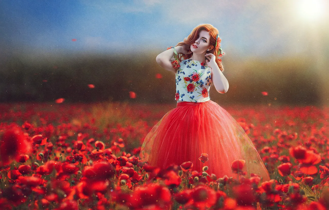 Фото обои поле, девушка, цветы, настроение, маки, текстура, платье, Marina Baccardi