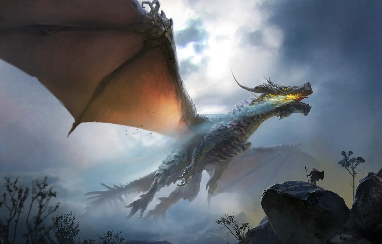 Фото обои Дракон, Полет, Ящер, Крылья, Чудовище, Fantasy, Dragon, Monster