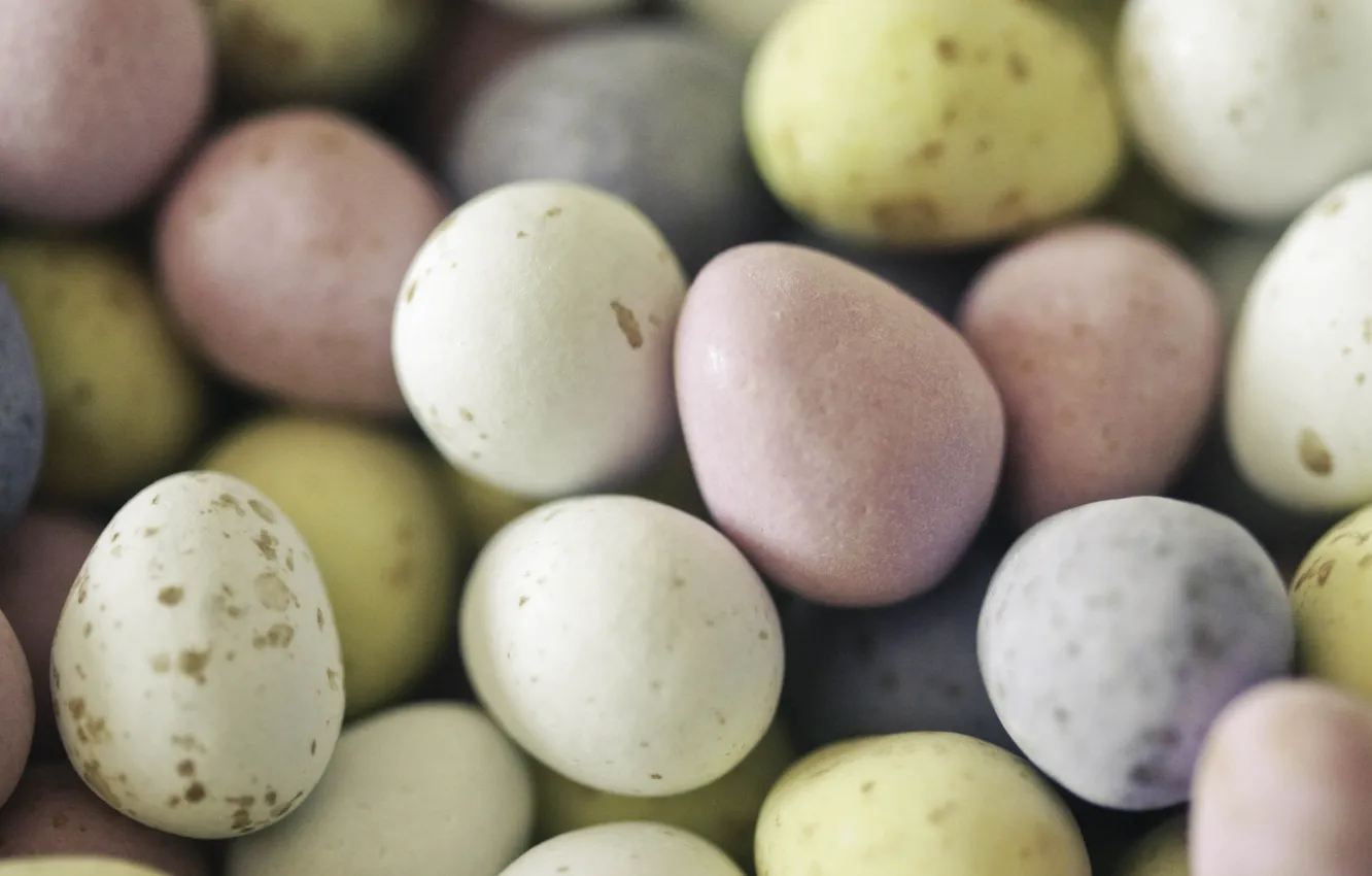 Фото обои яйца, Пасха, Happy Easter
