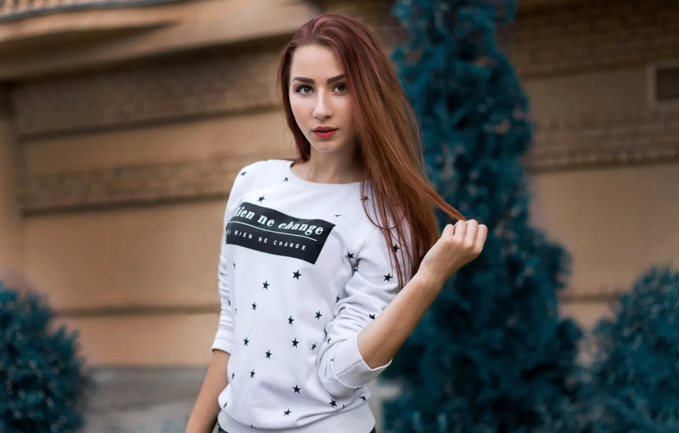 Фото обои взгляд, поза, модель, портрет, макияж, прическа, шатенка, кофточка