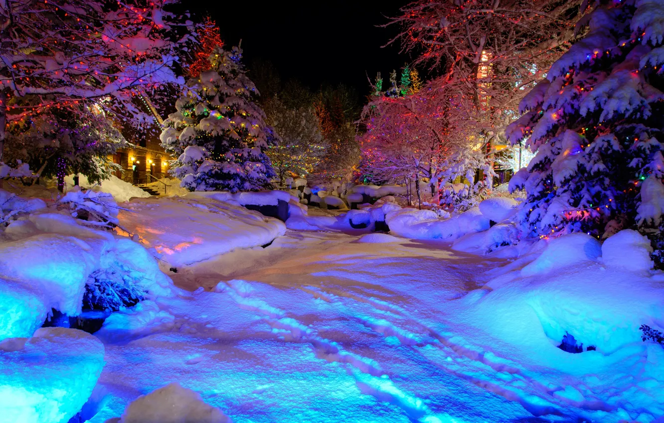 Фото обои зима, снег, город, дом, парк, праздник, елка, ель