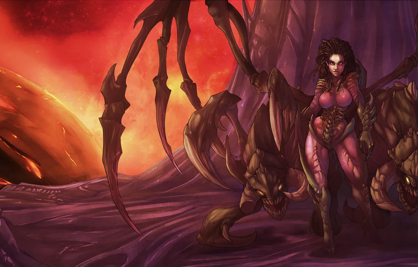 Фото обои starcraft, zerg, Blizzard, sarah kerrigan, Queen of Blades