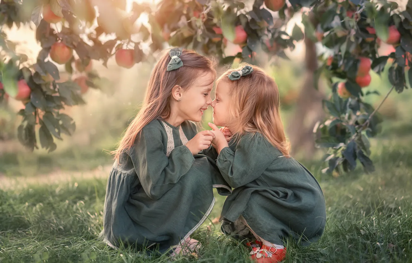 Фото обои ветки, природа, дети, дерево, яблоки, девочки, плоды, яблоня