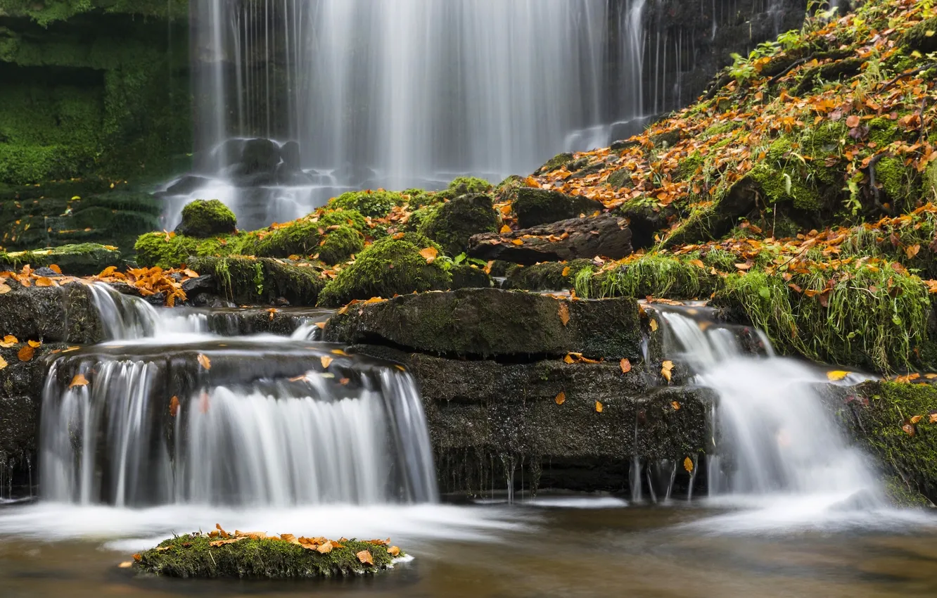 Фото обои осень, листья, камни, Англия, водопад, мох, England, Северный Йоркшир