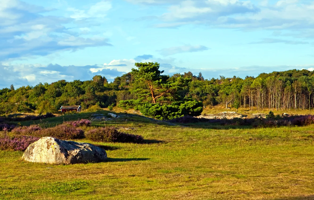 Фото обои поле, лес, небо, трава, деревья, камень, домик, Швеция