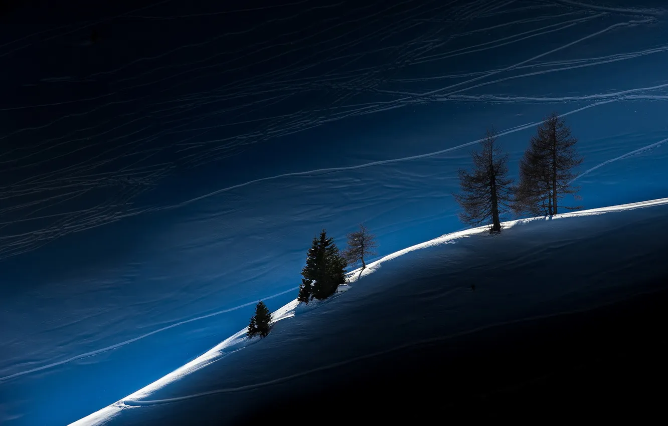 Фото обои зима, свет, деревья, пейзаж