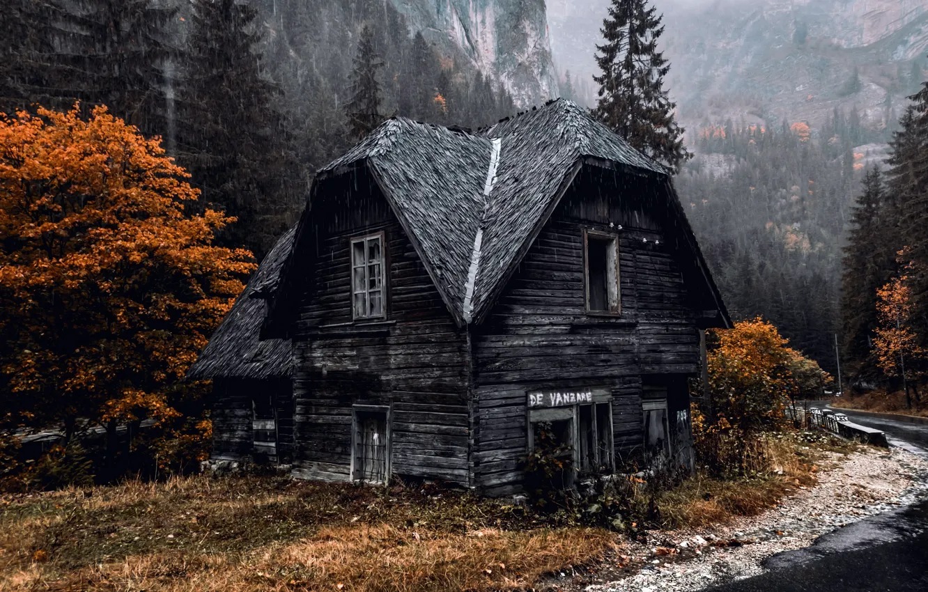 Фото обои дорога, осень, туман, дом