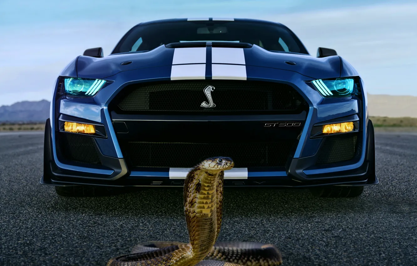 Ford Mustang Shelby gt500 2020