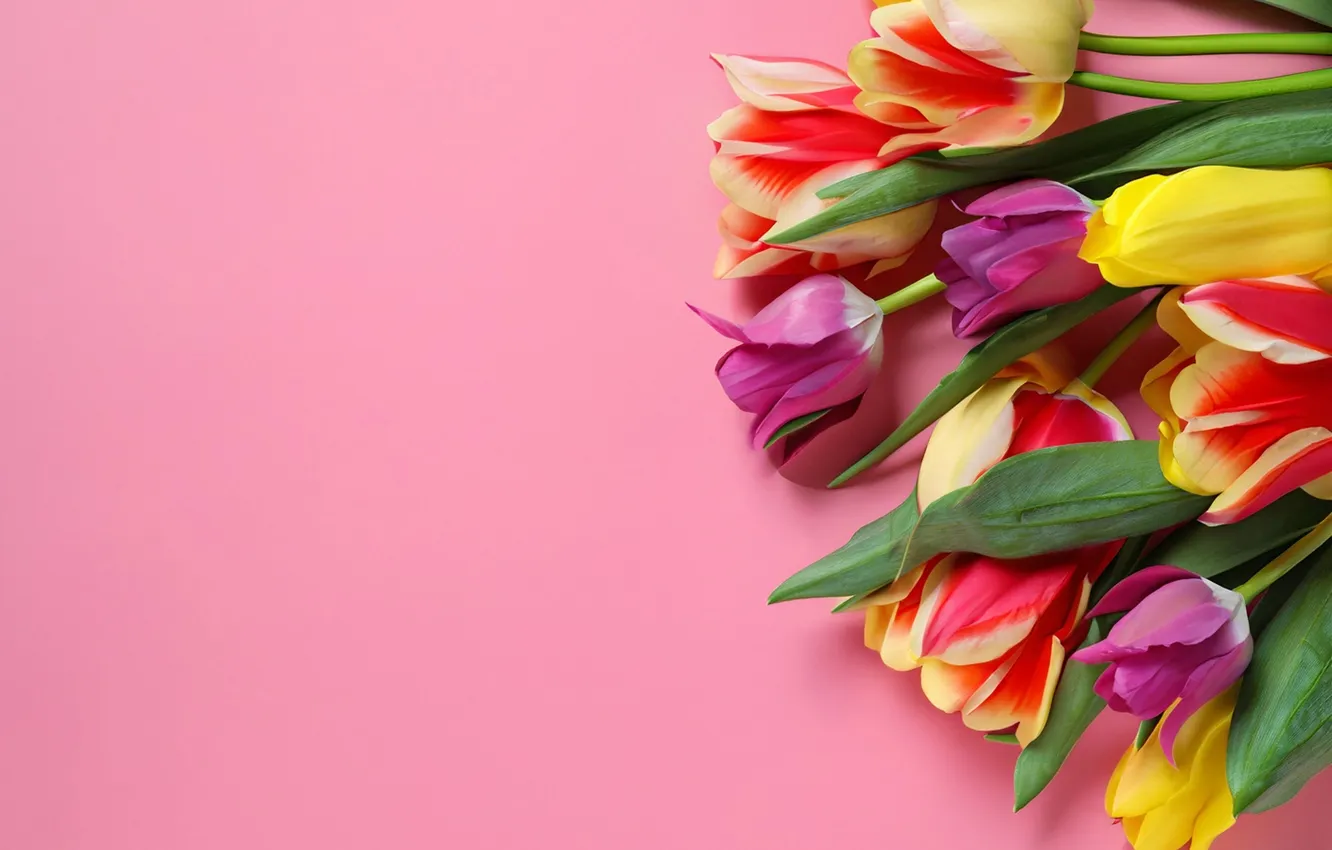 Фото обои цветы, букет, colorful, тюльпаны, flowers, tulips, spring, bouquet