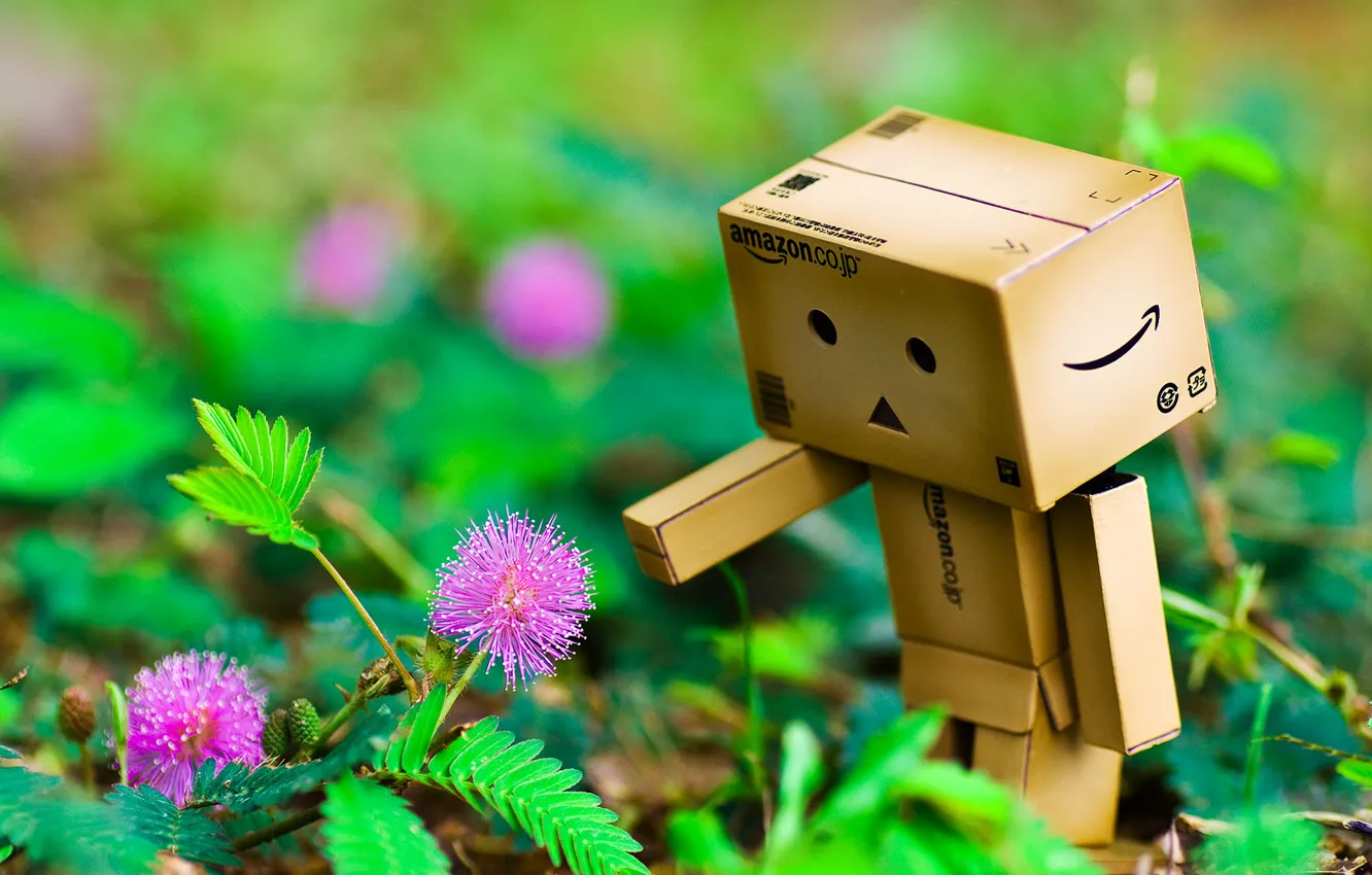 Фото обои цветы, рука, danbo