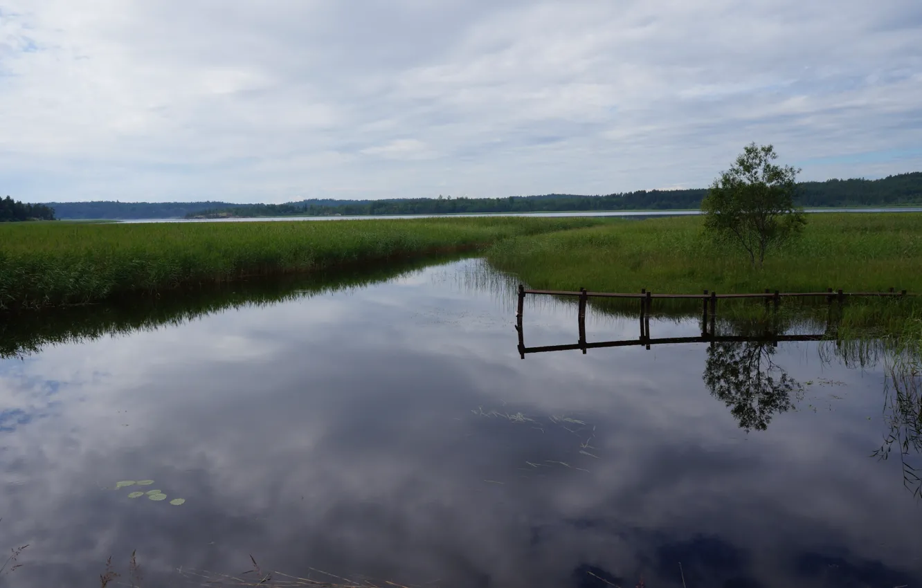 Фото обои небо, природа, река, river, nature