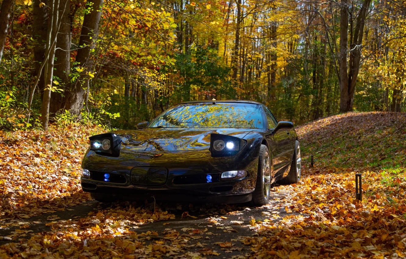 Фото обои Corvette, Black, Autumn, C5