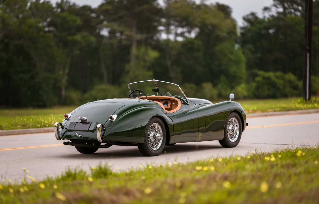 Фото обои Jaguar, 1954, XK120, Jaguar XK120 SE Roadster