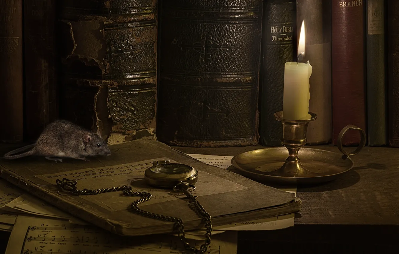 Фото обои ноты, часы, книги, свеча, мышка