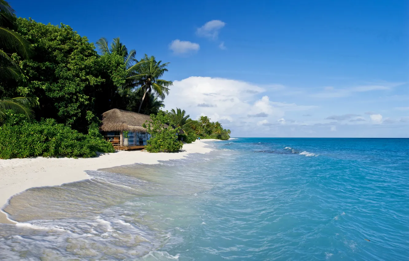 Фото обои песок, море, тропики, пальмы, берег, хижина, Мальдивы, Kuramathi