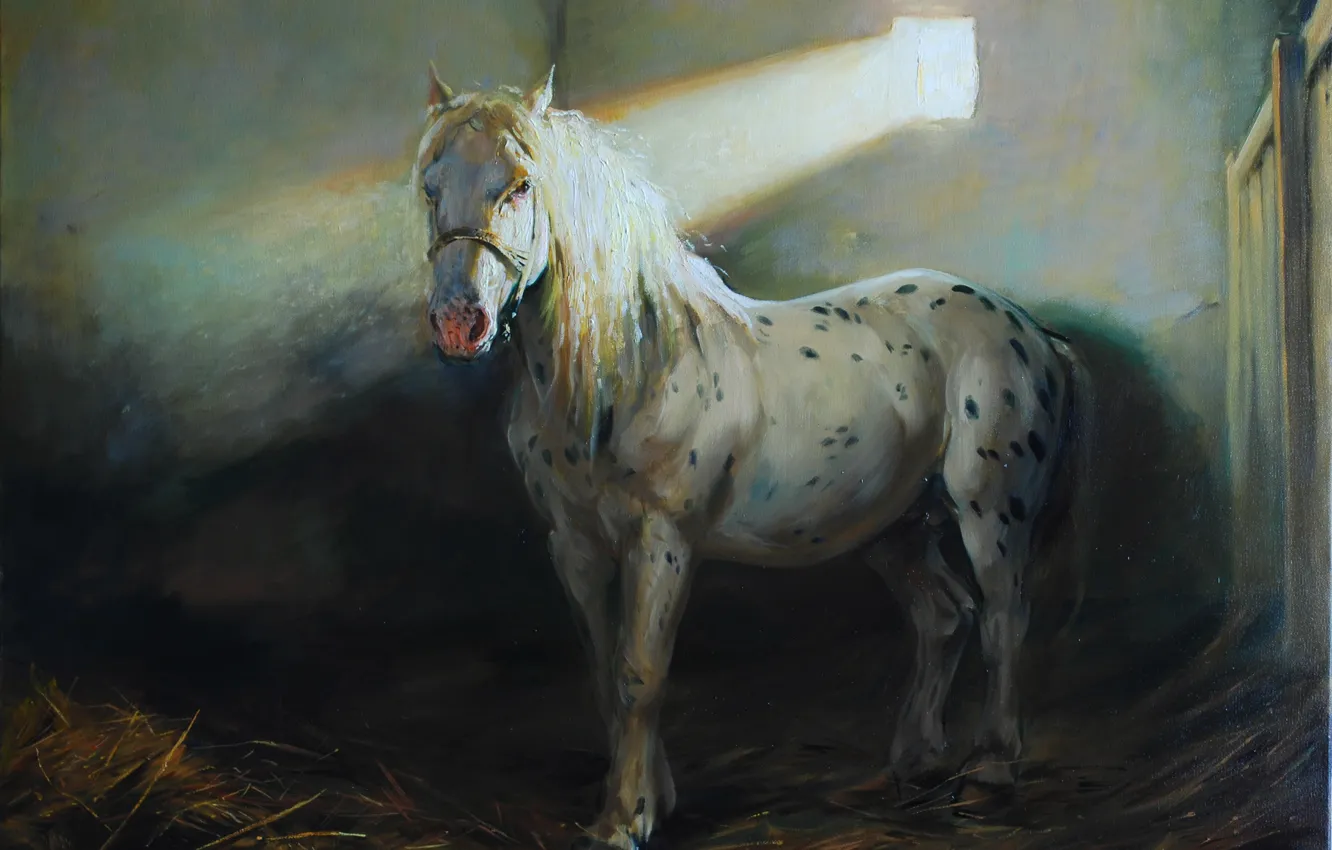 Фото обои конь, лошадь, солома, луч света, Laszlo Gulyas, Ласло Гулис