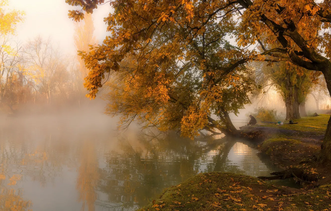 Фото обои осень, река, рыбалка