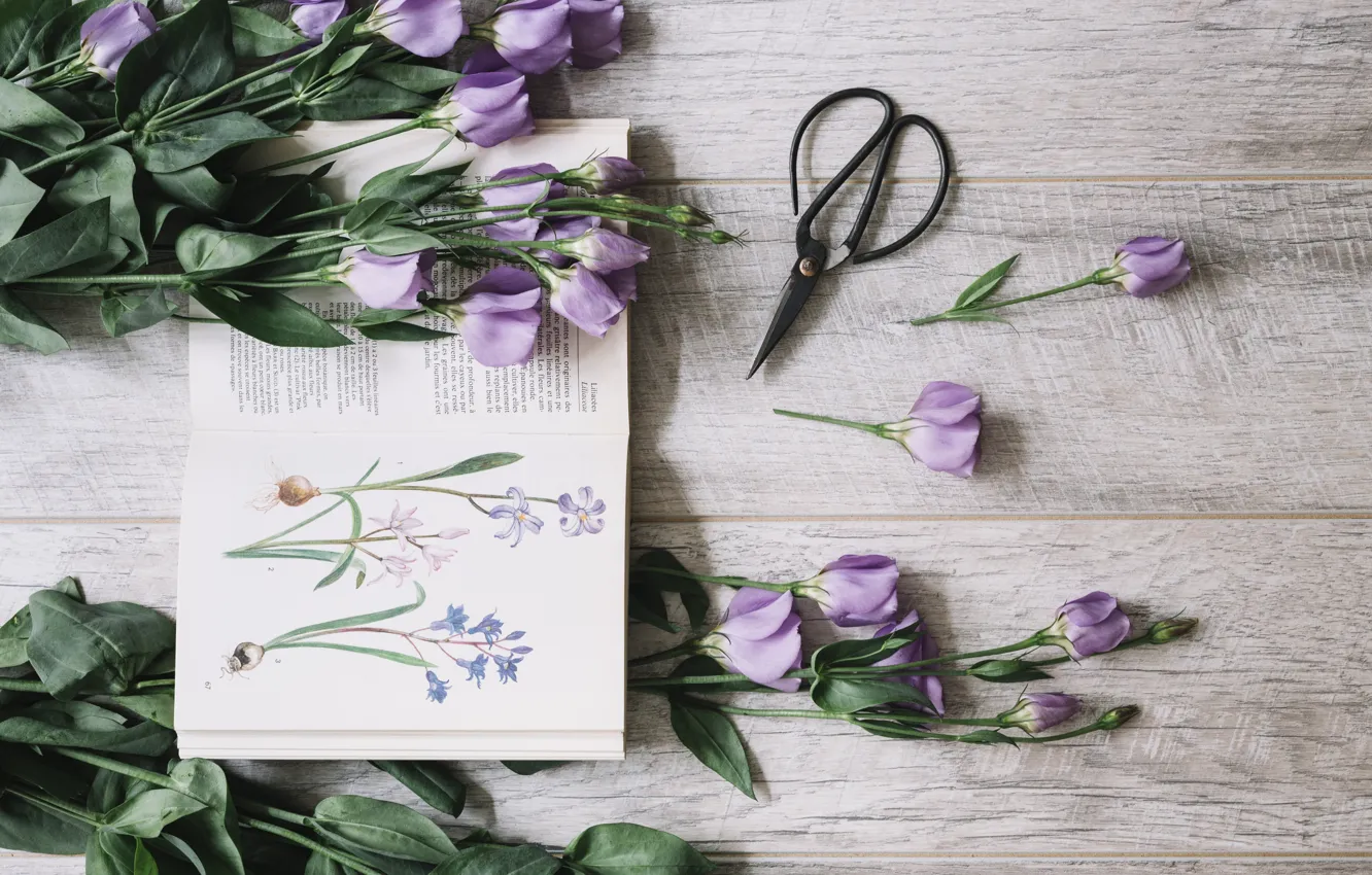 Фото обои букет, книга, flower, декор, purple, book, Leaves, Decoration