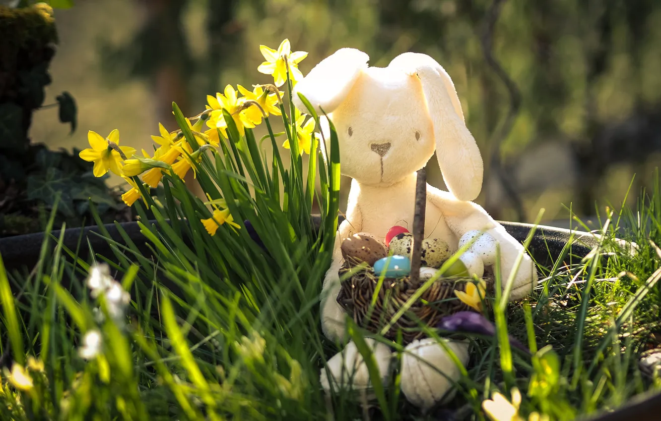 Фото обои трава, свет, праздник, игрушка, яйца, весна, Пасха, боке