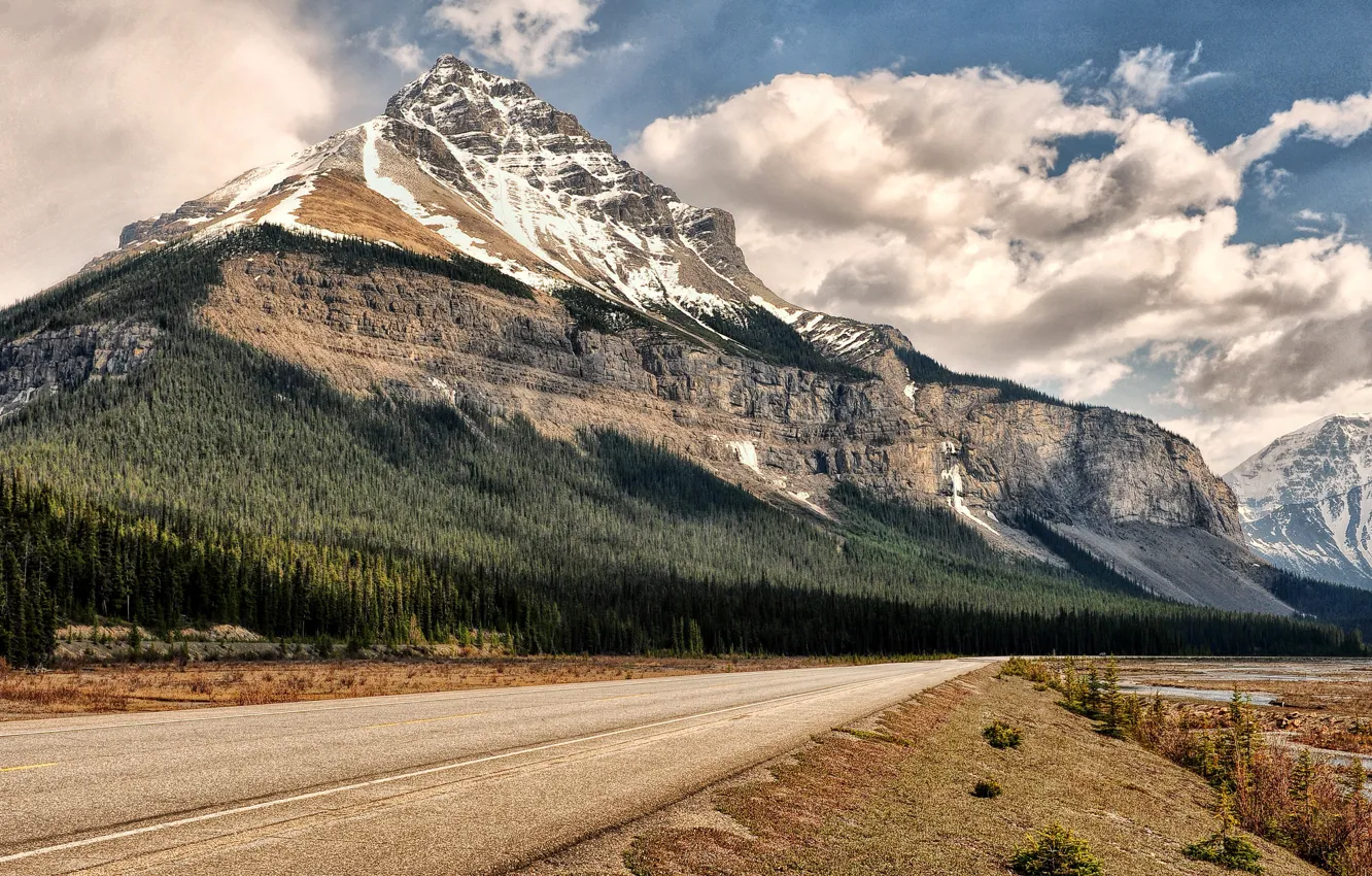 Фото обои деревья, гора, Banff National Park, Национальный парк Банф, Jeff R. Clow