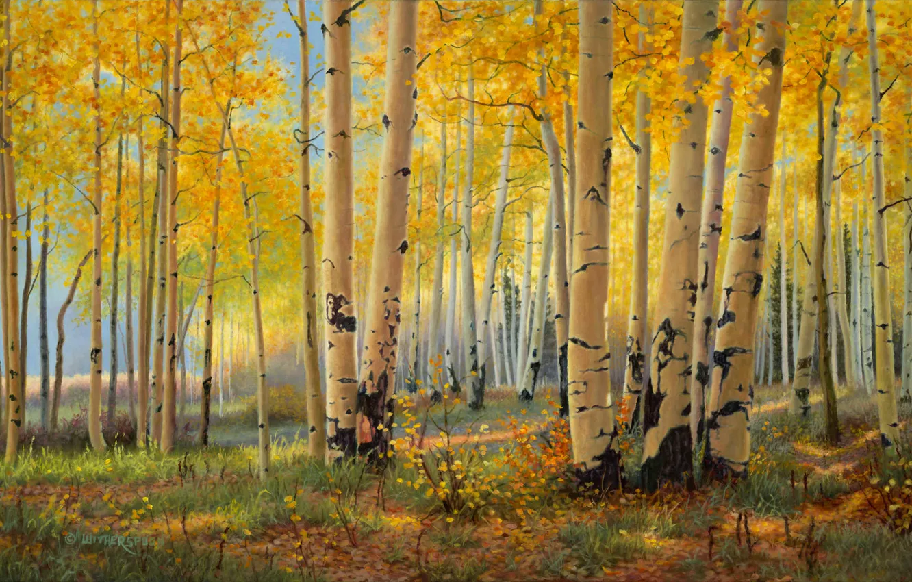 Фото обои осень, лес, березы, живопись, искусство, роща, золотая осень, Kay Witherspoon