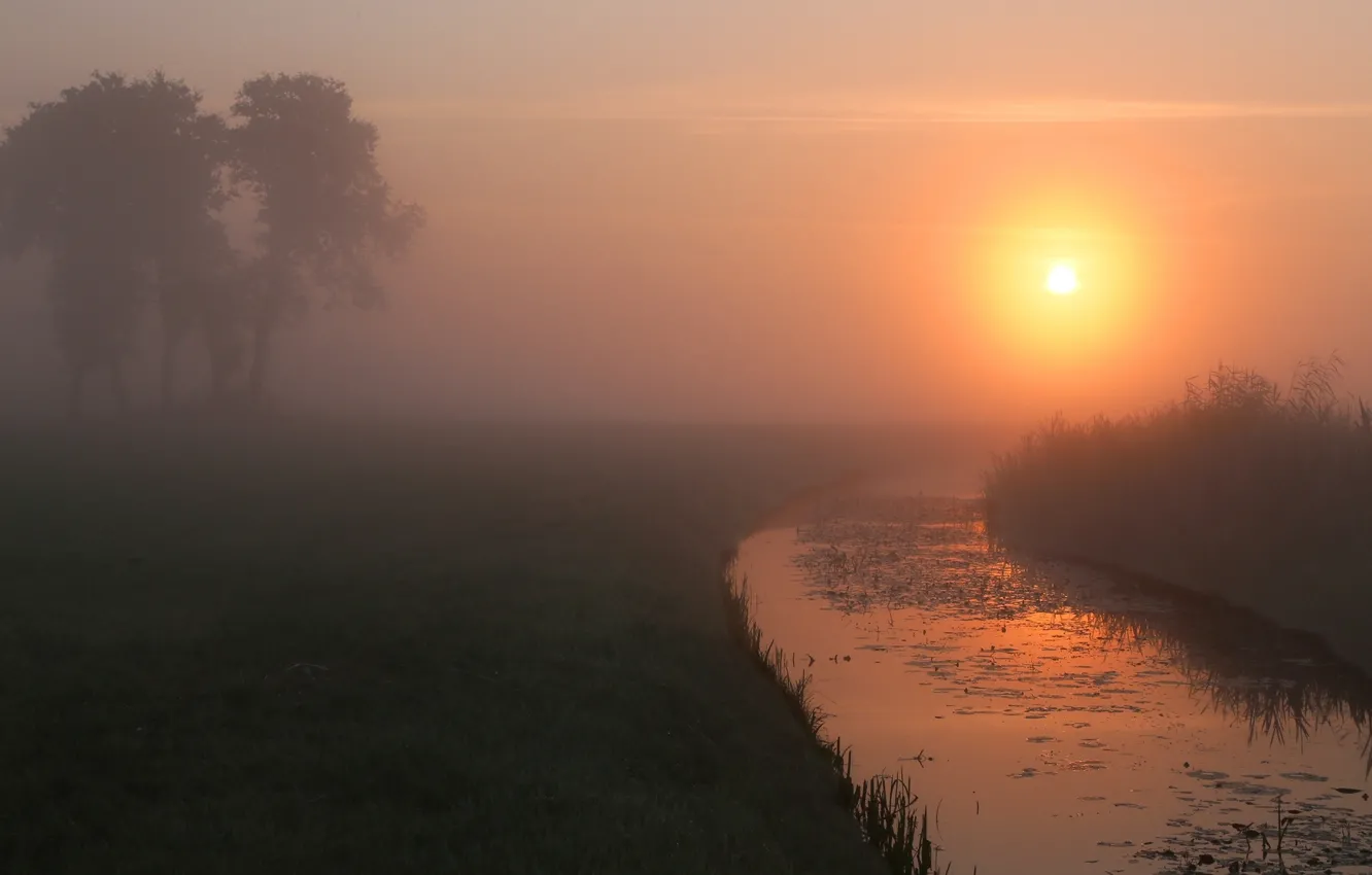 Фото обои лето, туман, река, рассвет, утро
