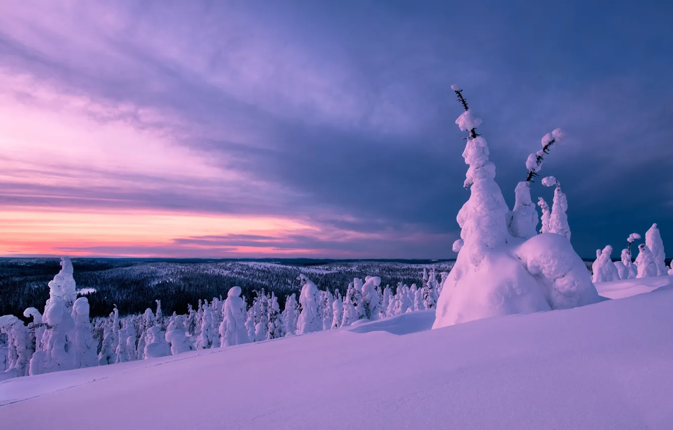 Света снег. Потрясающие фото белого безмолвия в Якутии зимой.