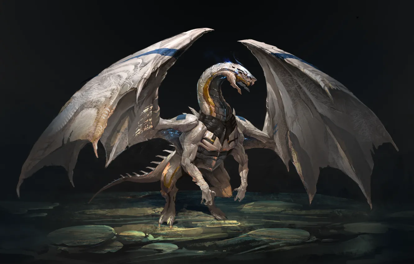 Фото обои дракон, крылья, арт