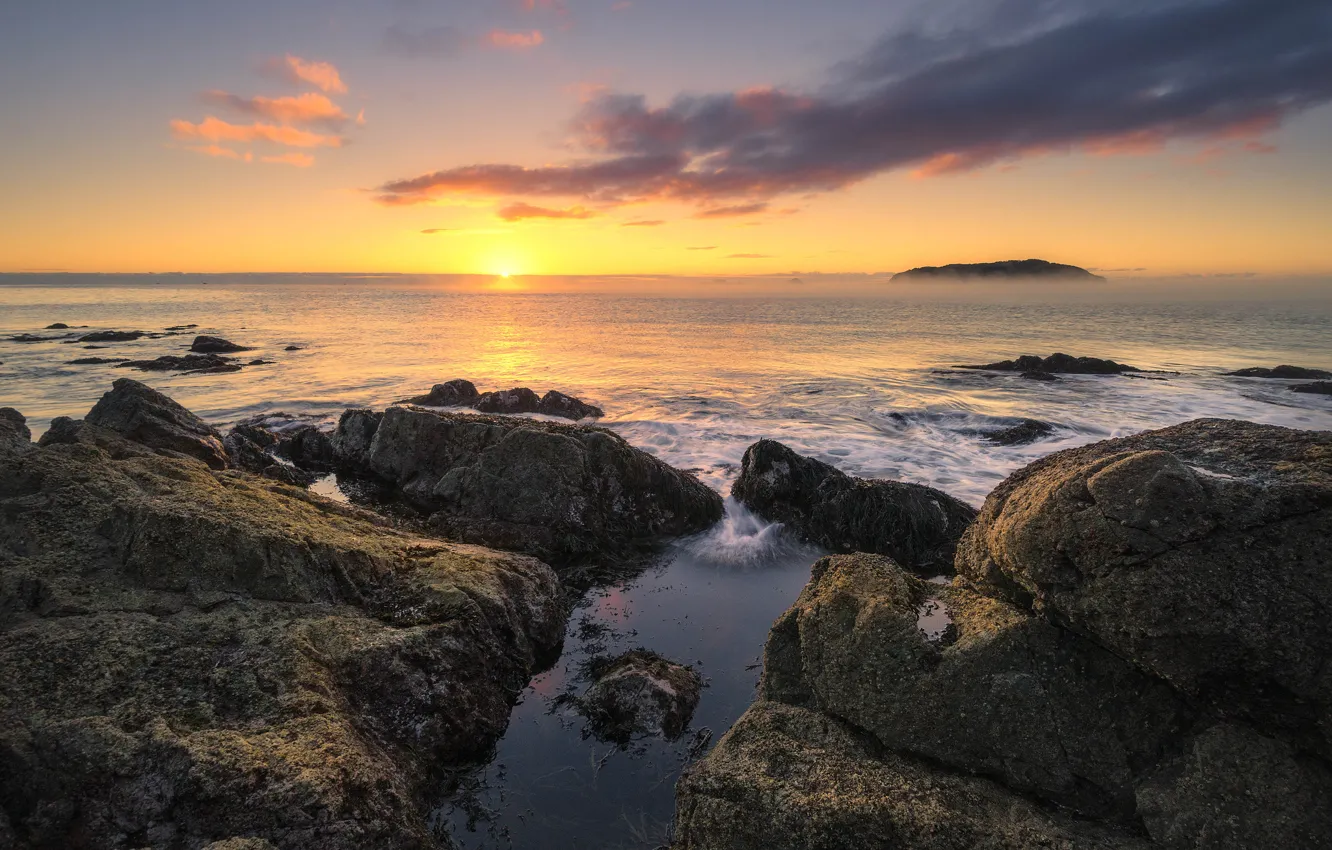 Фото обои солнце, камни, океан, рассвет, утро, Новая Зеландия, горизонт, Waikato